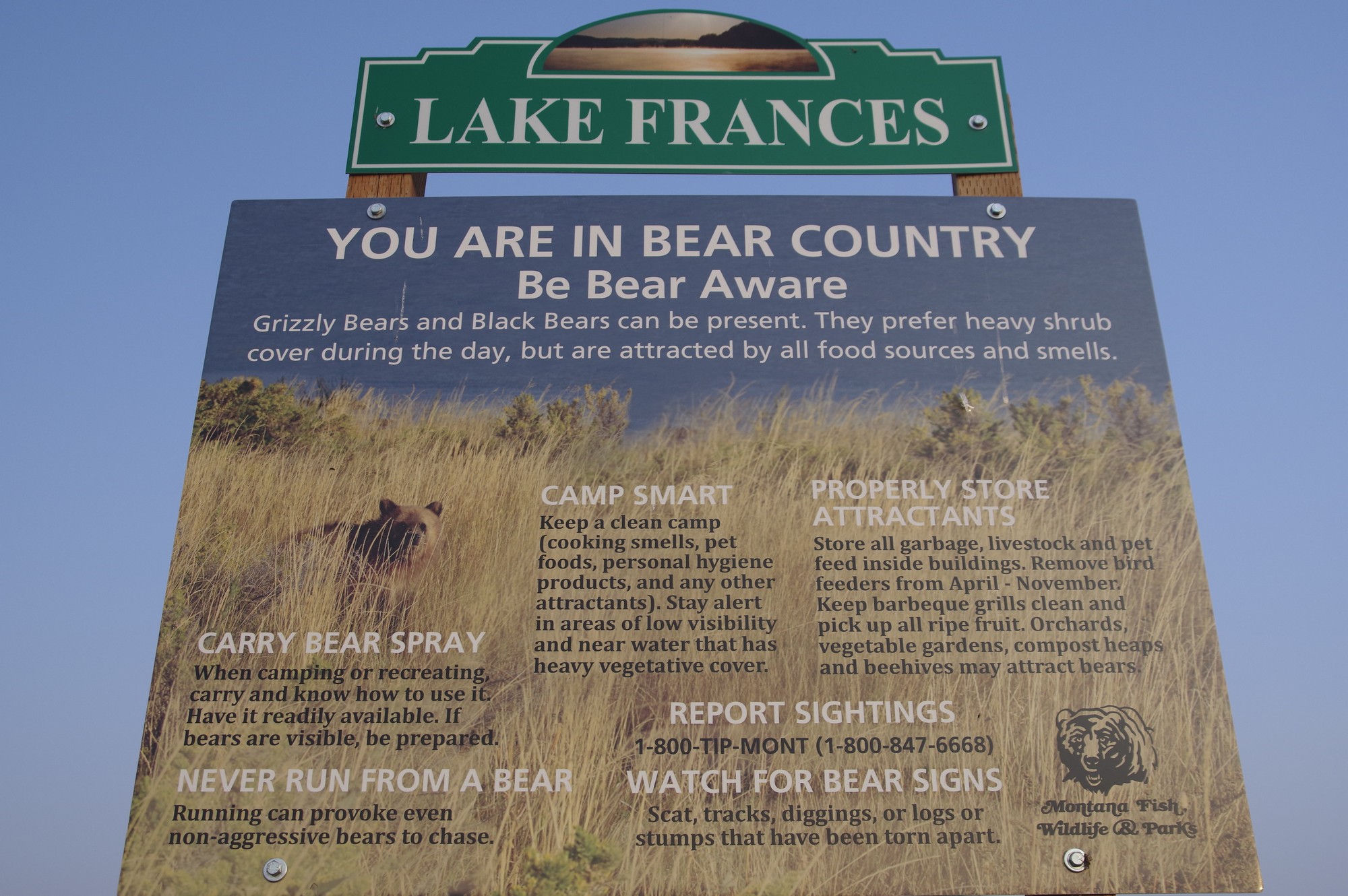Montana, le pays de l'ours et du Grizzly