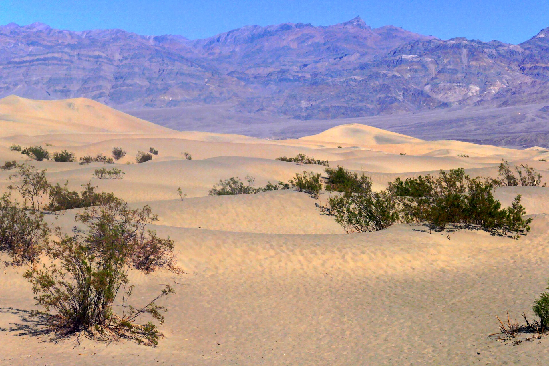 Le Sahara , non dune de Mesquite Death Valley