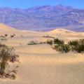 Le Sahara , non dune de Mesquite Death Valley
