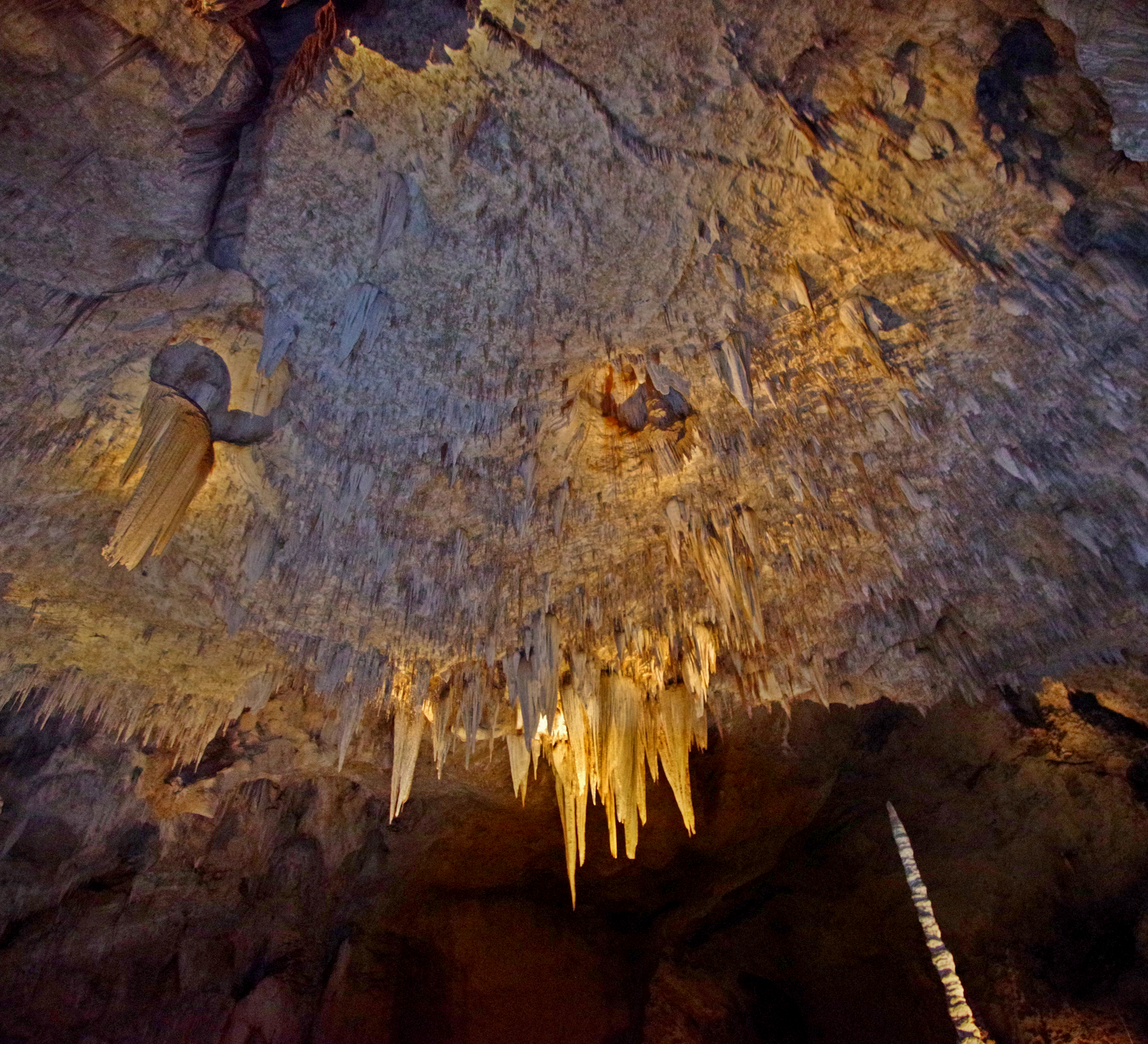 Caverne de Carlsbad NP