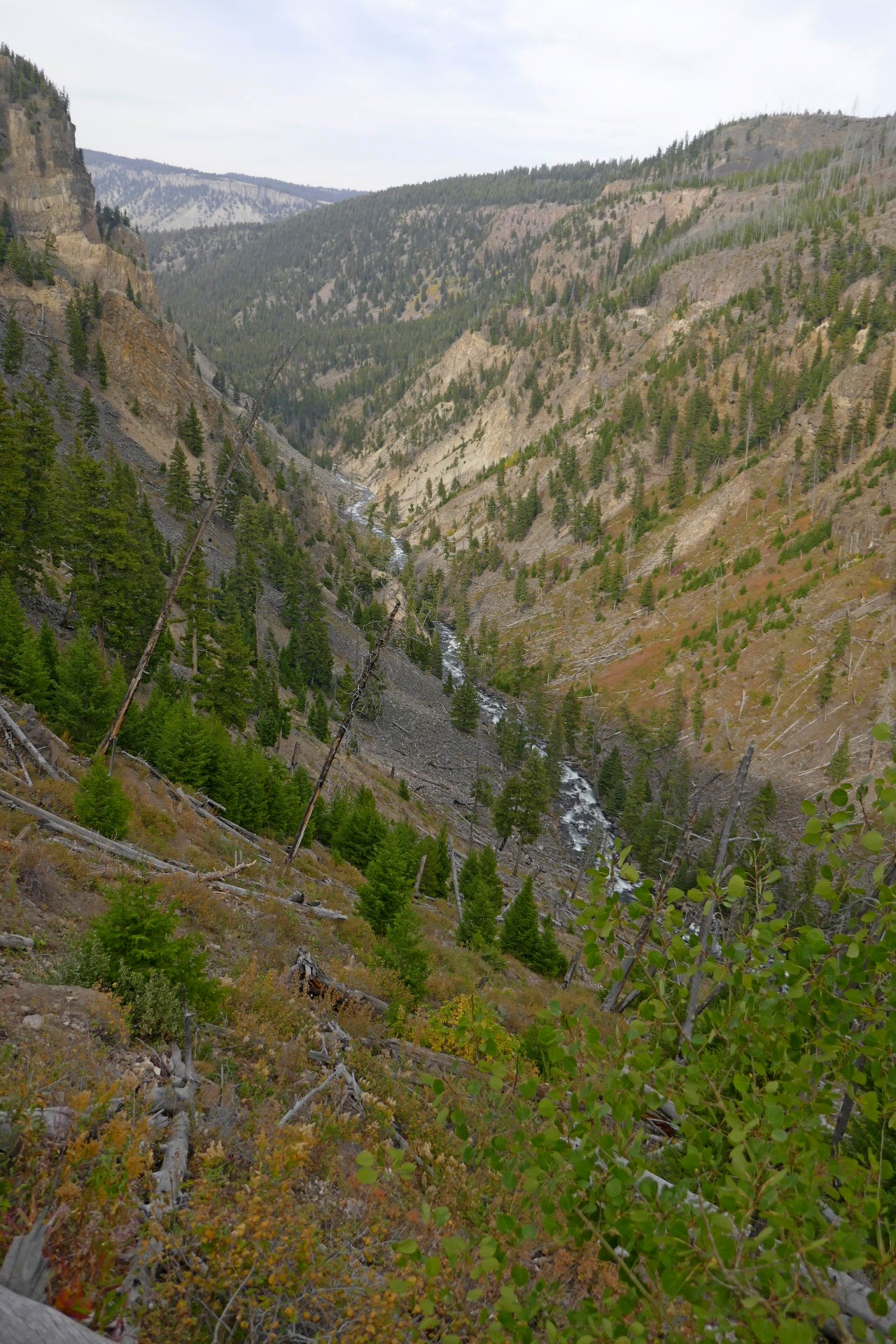 Rivière Yellowstone  du mont Bunsen